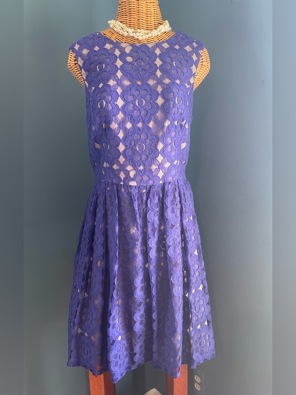 Ivy & Blue Maggy Boutique Fit & Flare Sleeveless Lace Overlay Dress Purple